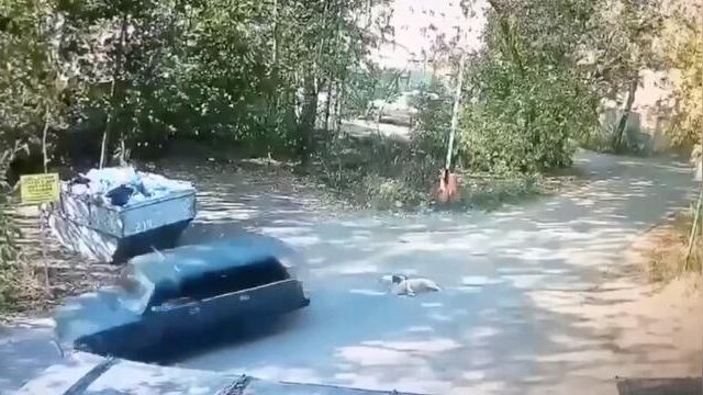 Машина с привязанными собаками в Мытищах Машина с привязанными собаками в Мытищах - РИА Новости, 1920, 21.09.2024