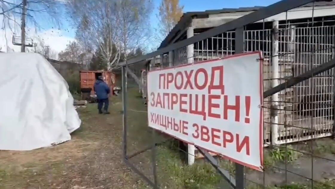 Место происшествия, где медведь напал на работника базы отдыха в Прокопьевском округе Кузбасса Место происшествия, где медведь напал на работника базы отдыха в Прокопьевском округе Кузбасса - РИА Новости, 1920, 25.09.2024