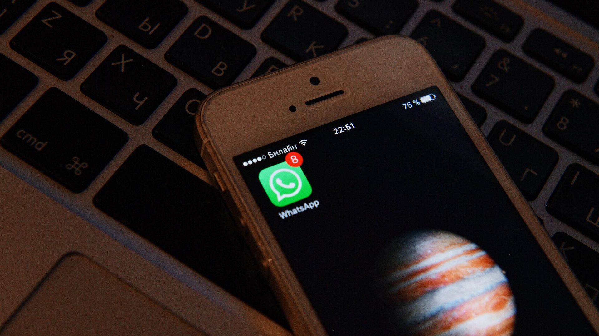 Иконка мессенджера WhatsApp на экране смартфона Иконка мессенджера WhatsApp на экране смартфона - РИА Новости, 1920, 15.10.2024