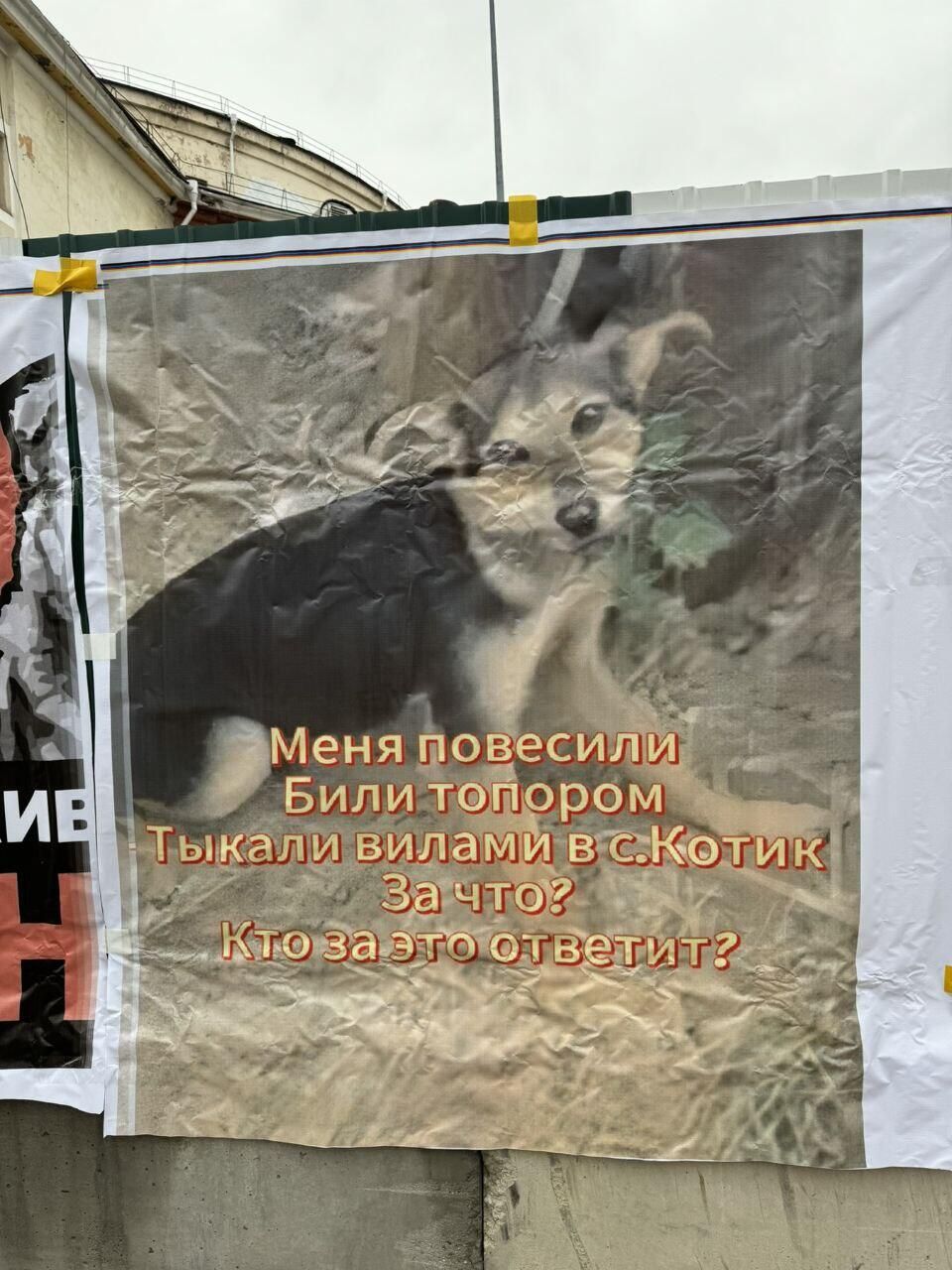 Пес, над которым издевались подростки в Тулунском районе, стал одной из причин митинга иркутских зоозащитников Пес, над которым издевались подростки в Тулунском районе, стал одной из причин митинга иркутских зоозащитников - РИА Новости, 1920, 03.10.2024