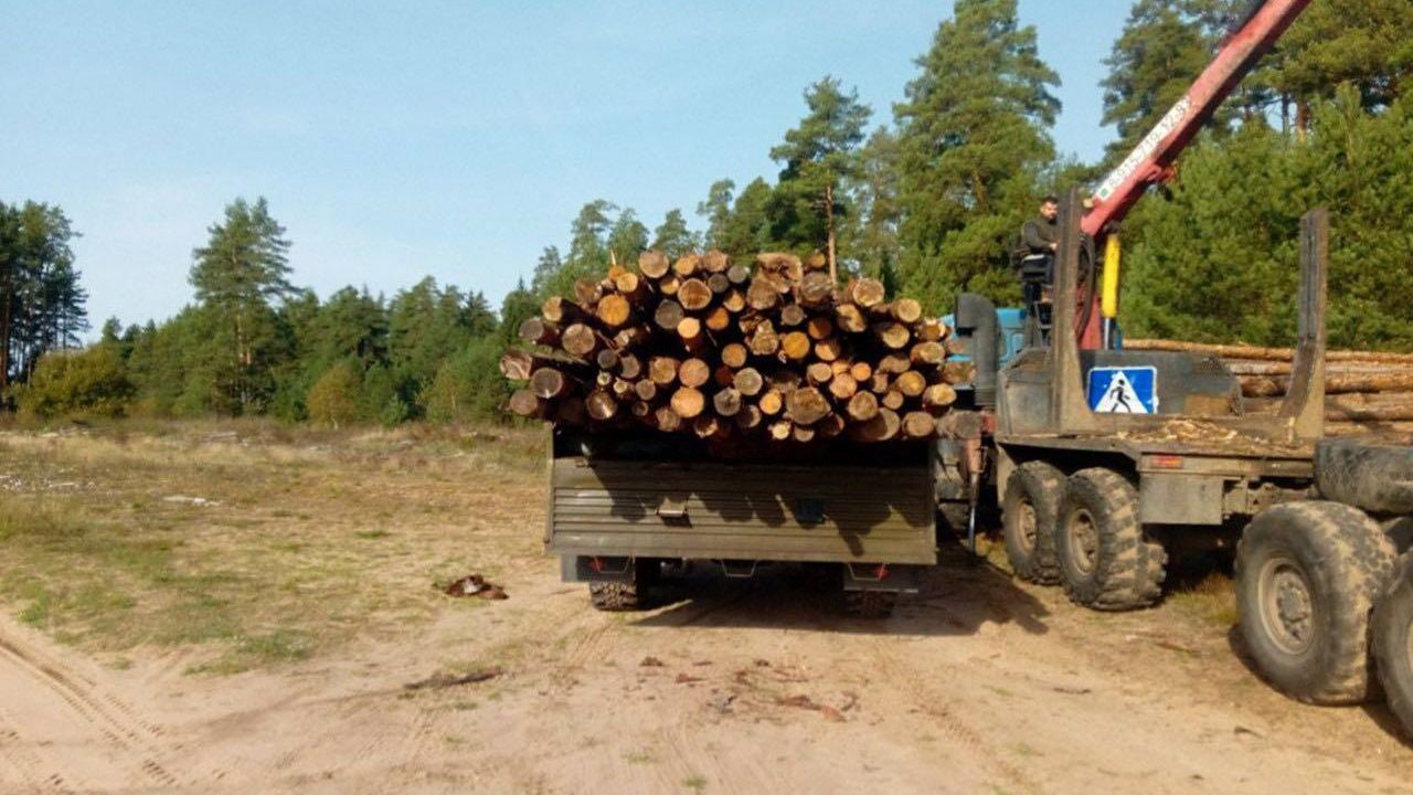 Тверская область направила в зону СВО новую партию пиломатериалов Тверская область направила в зону СВО новую партию пиломатериалов - РИА Новости, 1920, 03.10.2024