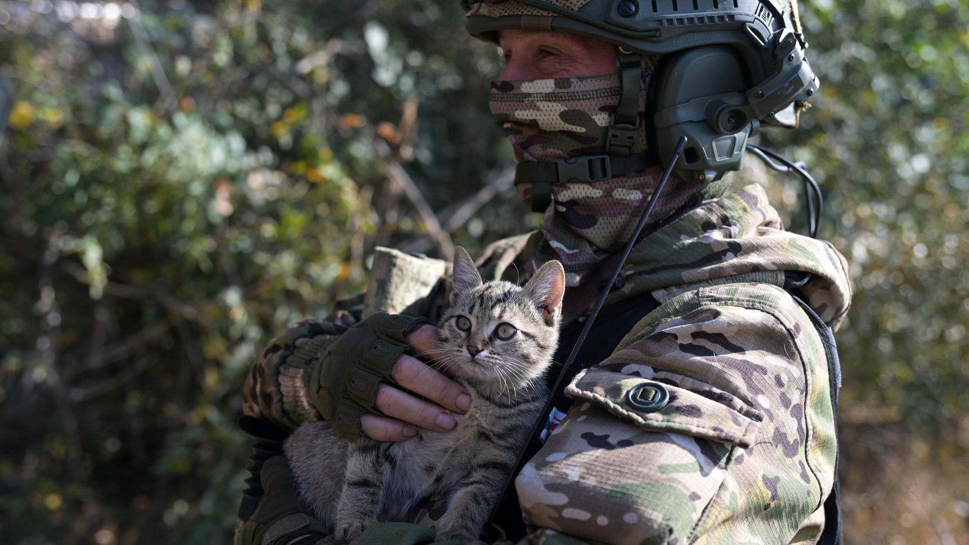 Военнослужащий ВС РФ в зоне специальной военной операции Военнослужащий ВС РФ в зоне специальной военной операции - РИА Новости, 1920, 09.07.2025