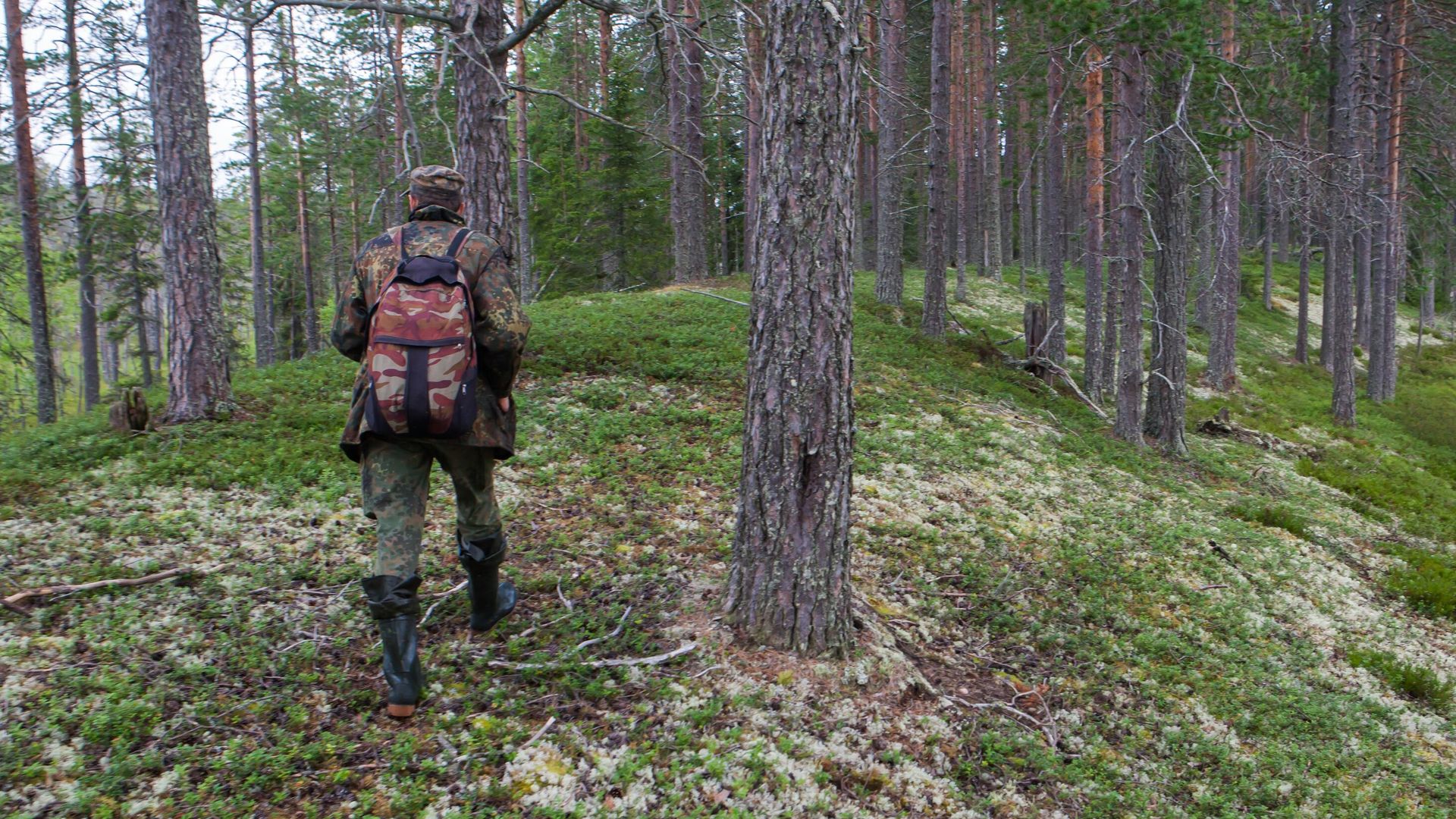 Сотрудник Водлозерского национального парка в Архангельской области Сотрудник Водлозерского национального парка в Архангельской области - РИА Новости, 1920, 23.10.2024