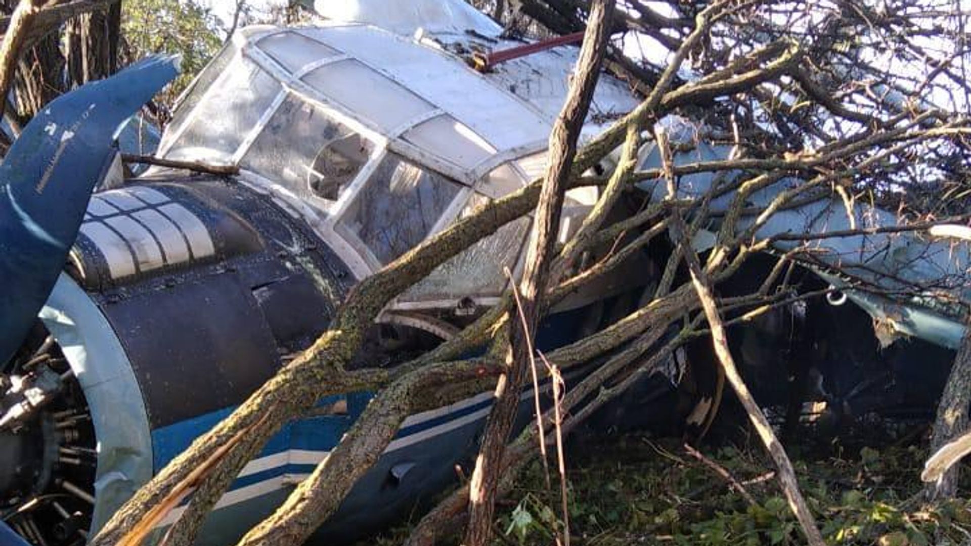 Место падения самолета АН-2 вблизи города Ессентуки Ставропольского края. 27 октября 2024 Место падения самолета АН-2 вблизи города Ессентуки Ставропольского края. 27 октября 2024 - РИА Новости, 1920, 27.10.2024
