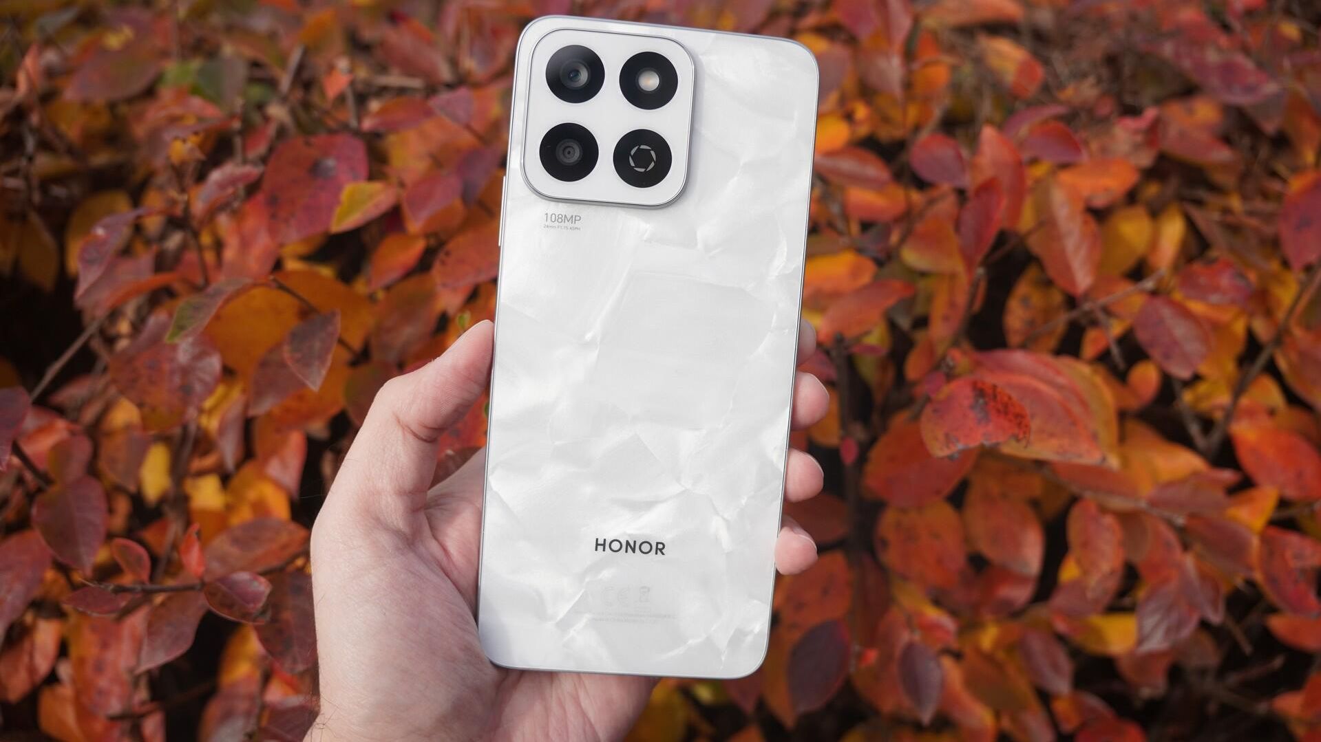 Honor X7C Honor X7C - РИА Новости, 1920, 01.11.2024