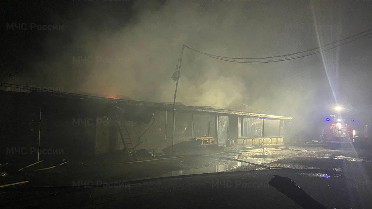 Место пожара в производственном здании по деревообработке в поселке Пригородном под Краснодаром Место пожара в производственном здании по деревообработке в поселке Пригородном под Краснодаром - РИА Новости, 1920, 01.11.2024
