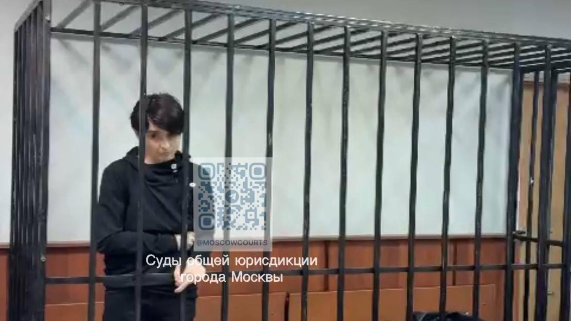 Яна Джоган в Кузьминском районном суде города Москвы Яна Джоган в Кузьминском районном суде города Москвы - РИА Новости, 1920, 17.01.2025