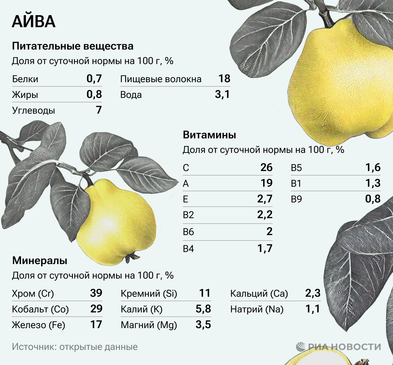 Айва: польза и вред для организма