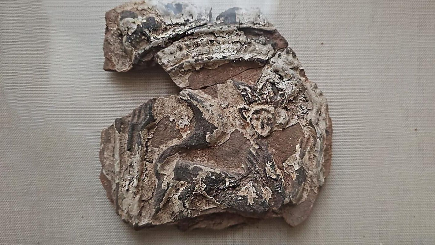 Красноглиняные 400-летние изразцы с кошками в коронах, найденные археологами в Москве Красноглиняные 400-летние изразцы с кошками в коронах, найденные археологами в Москве - РИА Новости, 1920, 12.11.2024