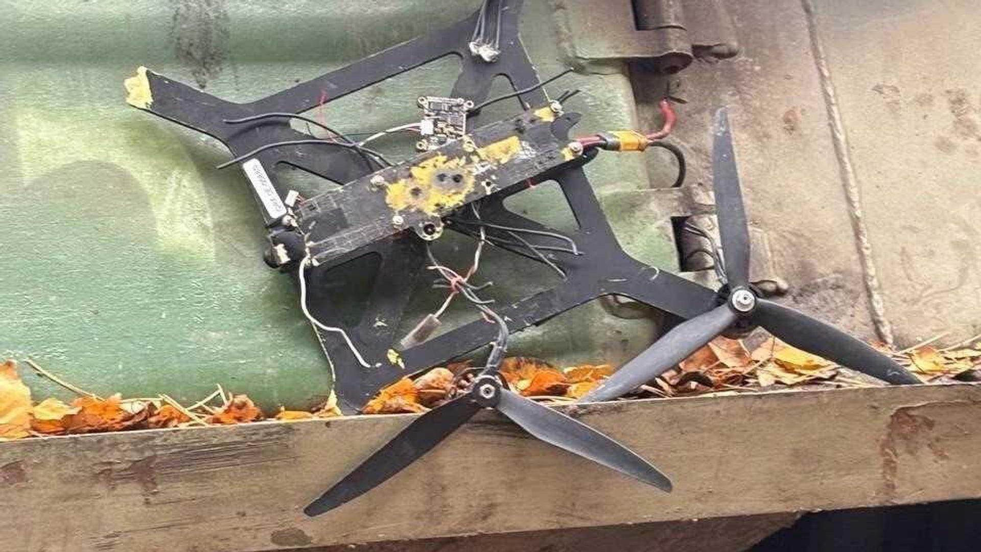 Украинские беспилотники Баба-Яга и FPV-дрон камикадзе Украинские беспилотники Баба-Яга и FPV-дрон камикадзе - РИА Новости, 1920, 13.11.2024