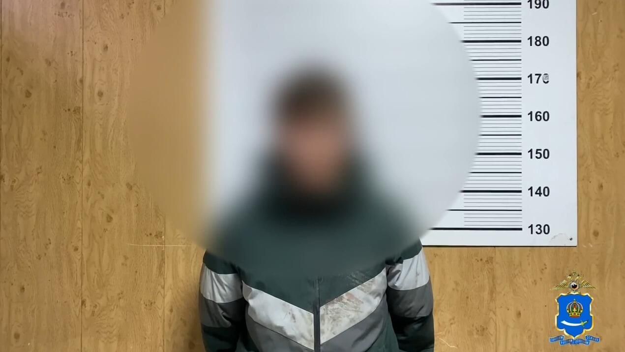 В Астрахани задержали подозреваемых в нападении на Евсеева В Астрахани задержали подозреваемых в нападении на Евсеева - РИА Новости, 1920, 18.11.2024