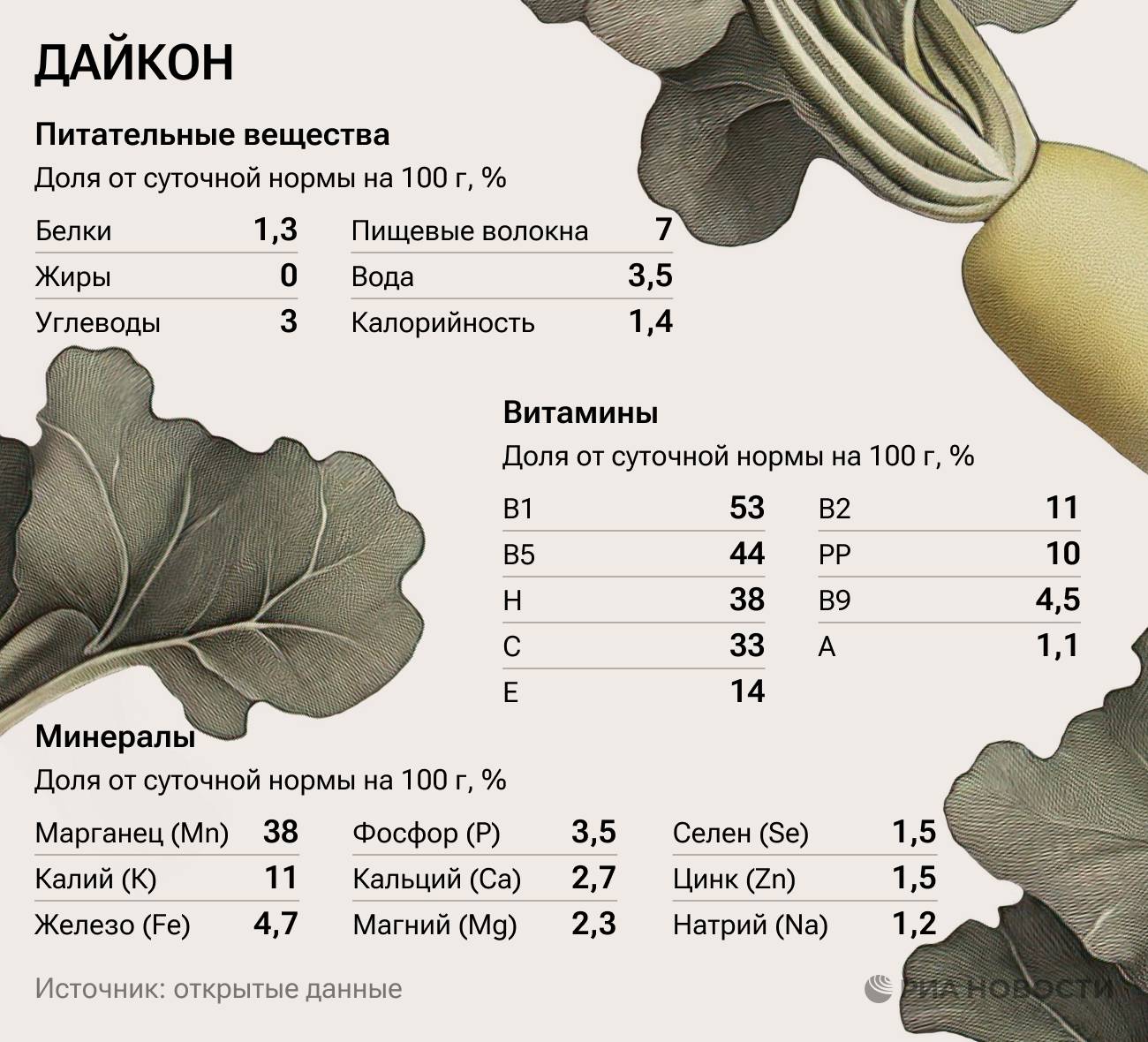 Дайкон: польза и вред для здоровья Дайкон: польза и вред для здоровья