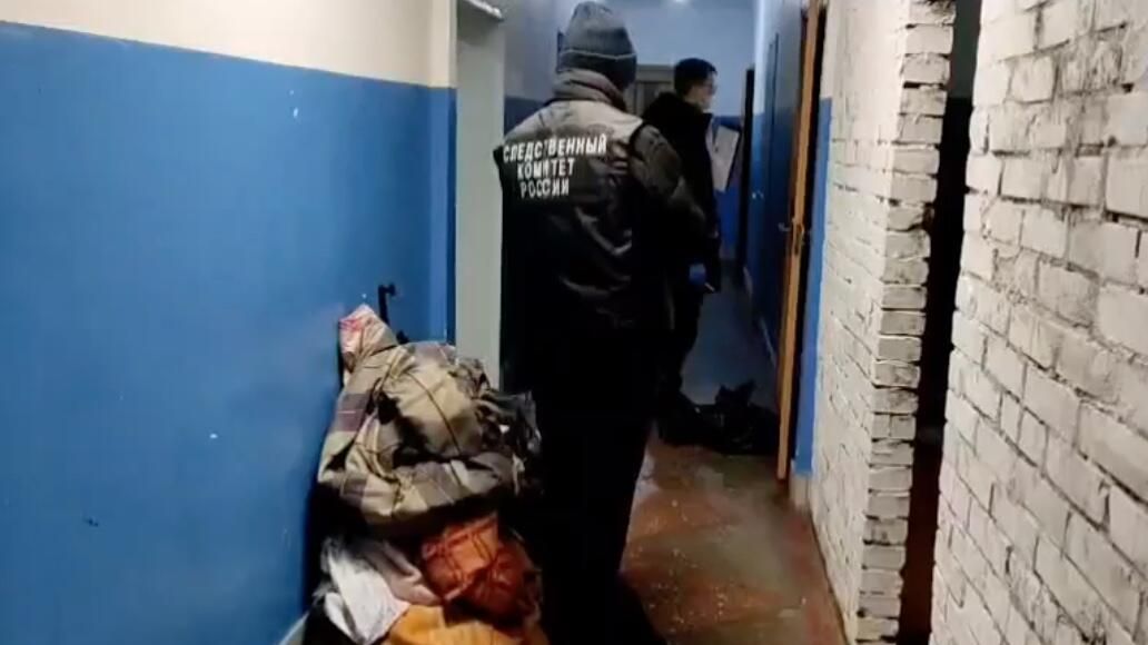 Сотрудник СК РФ в социальном центре в Алтайском крае Сотрудник СК РФ в социальном центре в Алтайском крае - РИА Новости, 1920, 30.11.2024