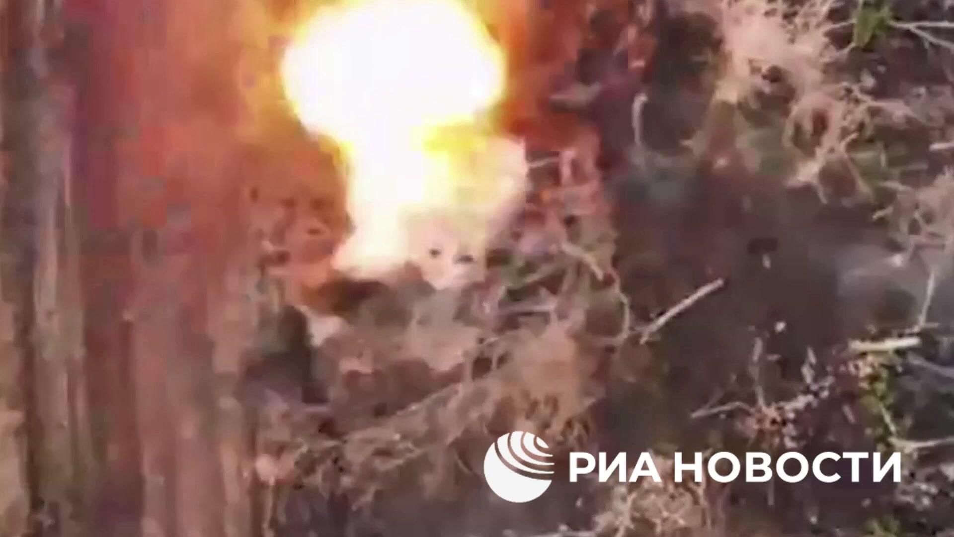 Уничтожение опорного пункта с живой силой ВСУ расчетом FPV-дрона Уничтожение опорного пункта с живой силой ВСУ расчетом FPV-дрона - РИА Новости, 1920, 29.11.2024