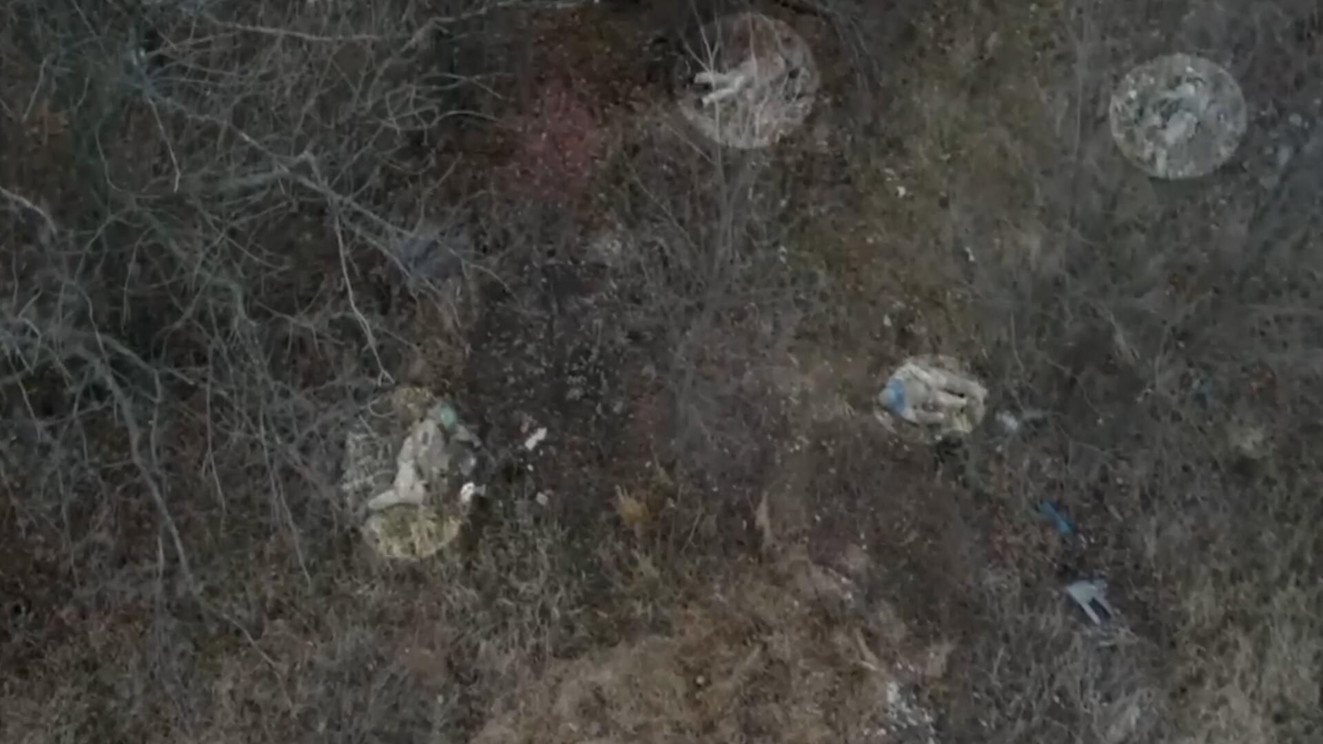 Уничтоженный в Курской области расчет FPV-дронов камикадзе ВСУ Уничтоженный в Курской области расчет FPV-дронов камикадзе ВСУ - РИА Новости, 1920, 30.11.2024
