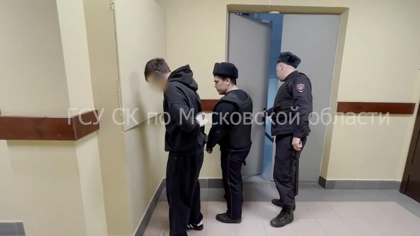 Суд арестован зачинщика массовой драки с участием подростков в Ногинске Суд арестован зачинщика массовой драки с участием подростков в Ногинске - РИА Новости, 1920, 02.12.2024