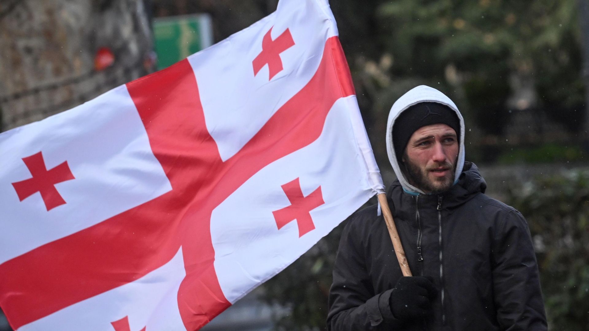 Участник акции протеста в Тбилиси Участник акции протеста в Тбилиси - РИА Новости, 1920, 31.12.2025