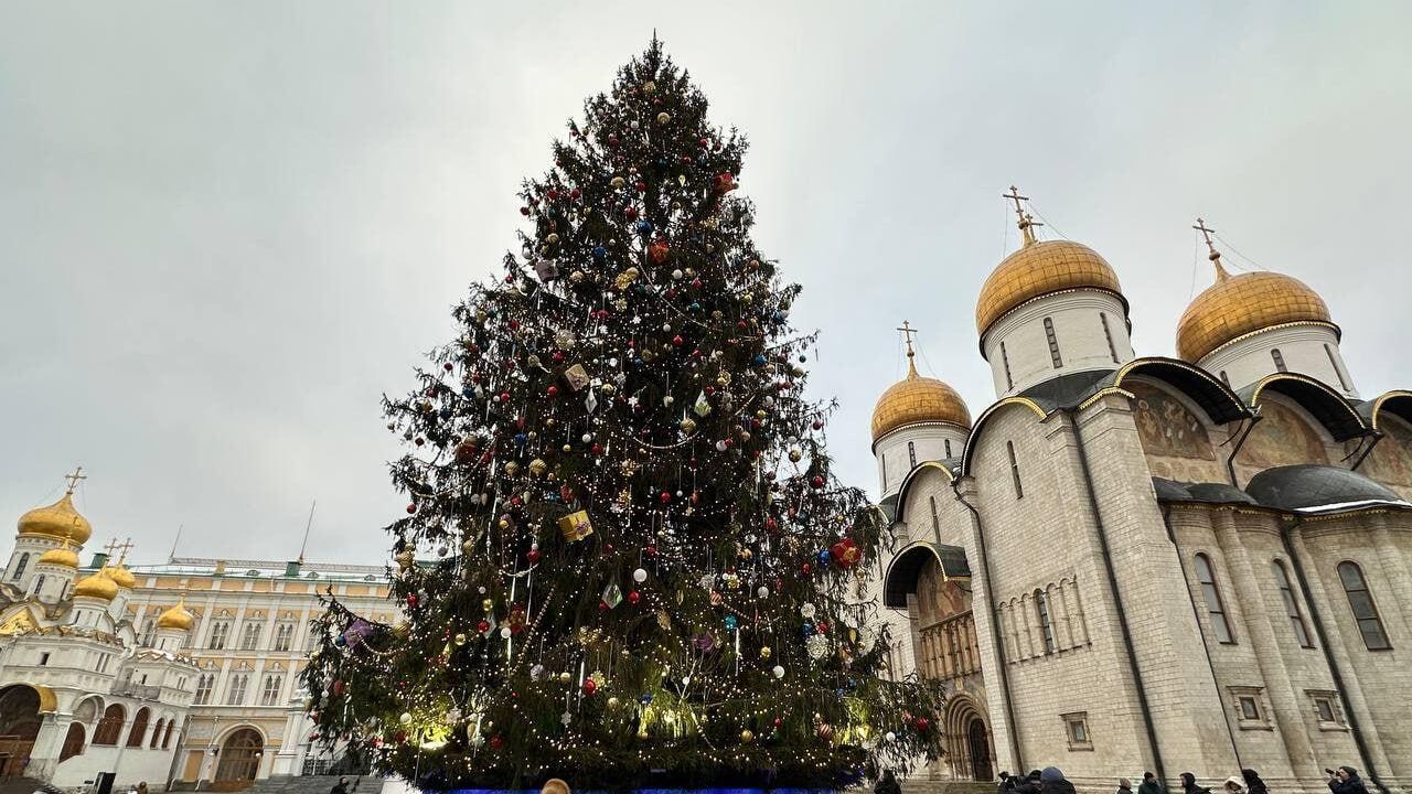 Главная новогодняя елка России, установленная на Соборной площади Главная новогодняя елка России, установленная на Соборной площади - РИА Новости, 1920, 10.01.2025