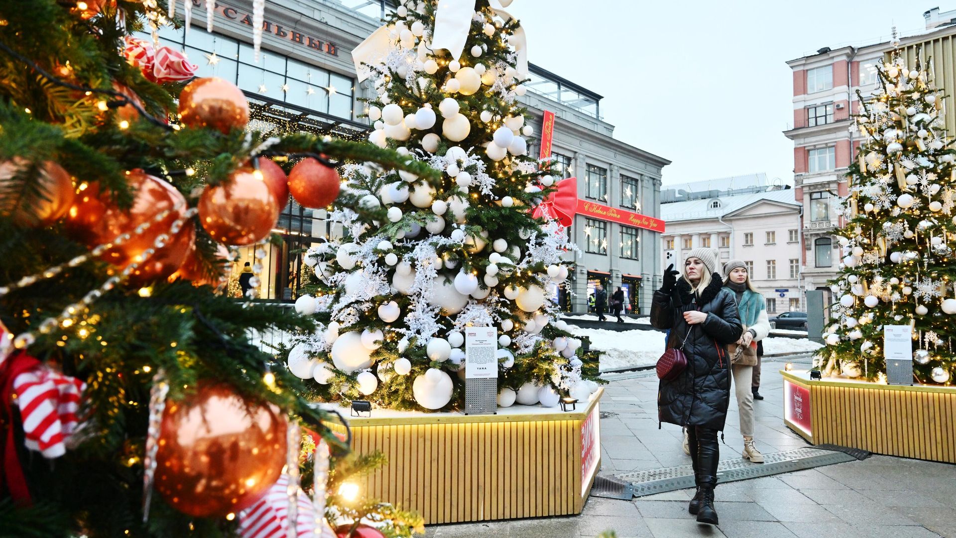 Дизайнерские елки на Кузнецком Мосту в Москве Дизайнерские елки на Кузнецком Мосту в Москве - РИА Новости, 1920, 08.01.2025