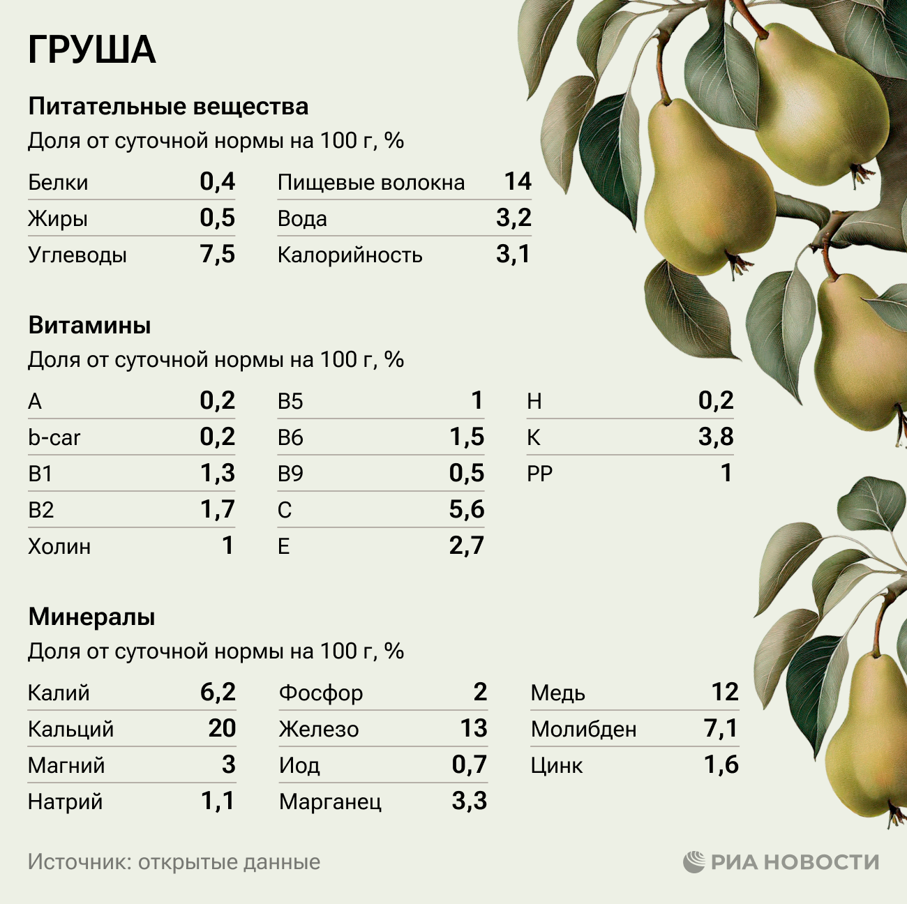 Груша: калорийность, состав, польза и вред для организма человека Груша: калорийность, состав, польза и вред для организма человека