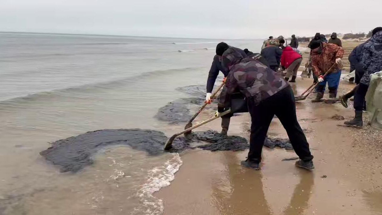 Повторный выброс мазута в районе пляжа Динамо в Анапе Повторный выброс мазута в районе пляжа Динамо в Анапе - РИА Новости, 1920, 05.01.2025