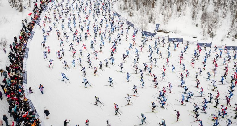 Фото года Фото года