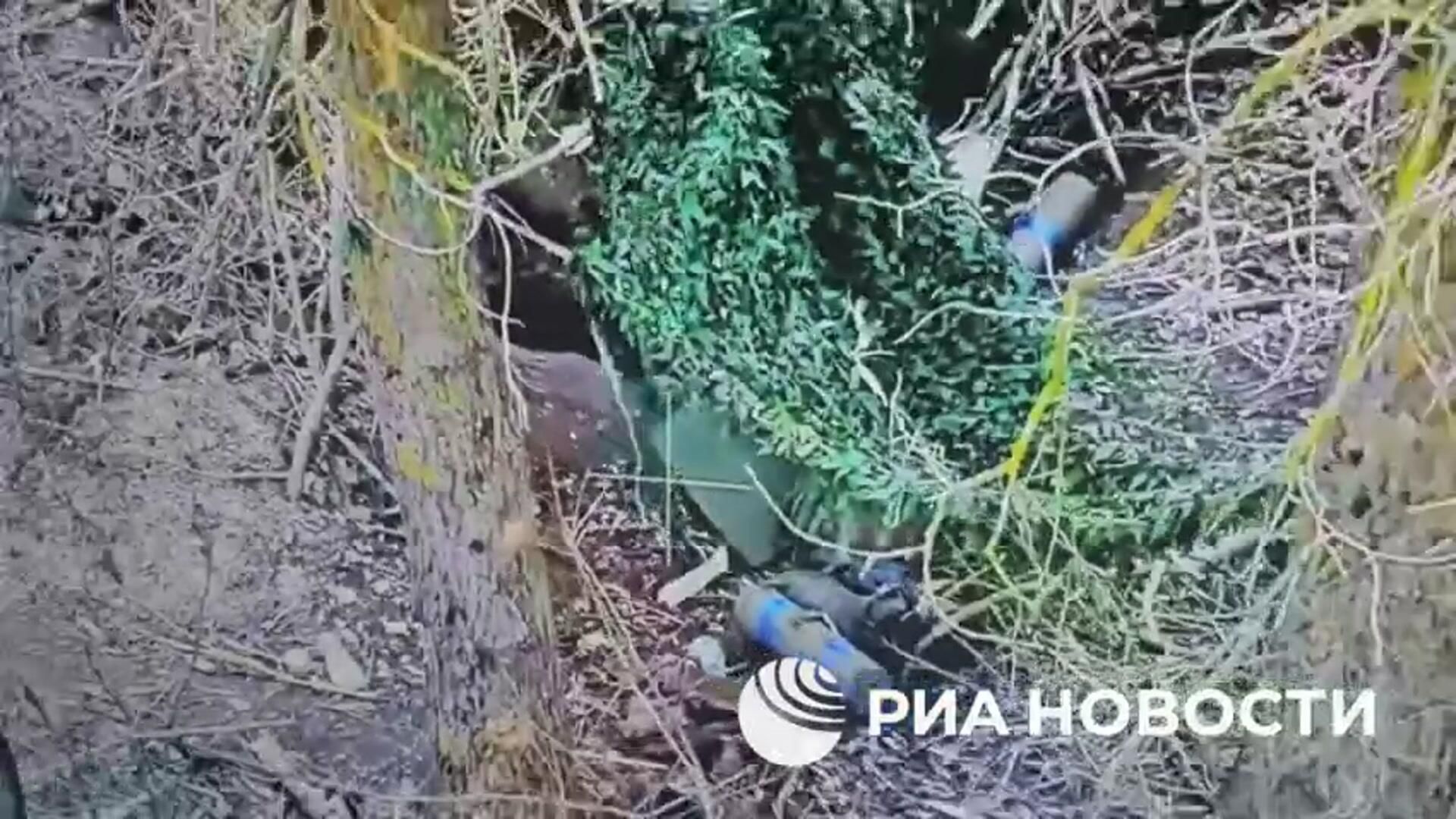 Операторы БПЛА Ахмата уничтожили двух украинских военных в Курской области Операторы БПЛА Ахмата уничтожили двух украинских военных в Курской области - РИА Новости, 1920, 06.01.2025