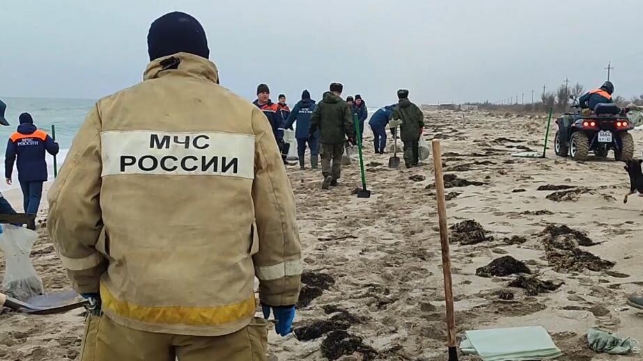 Сотрудники МЧС на месте загрязнения нефтепродуктами побережья Крыма Сотрудники МЧС на месте загрязнения нефтепродуктами побережья Крыма - РИА Новости, 1920, 19.01.2025