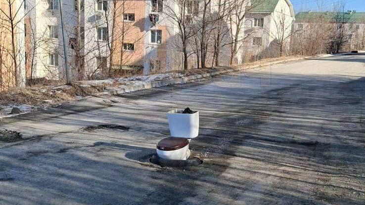 Унитаз на месте канализационного люка в Артеме Унитаз на месте канализационного люка в Артеме - РИА Новости, 1920, 13.01.2025