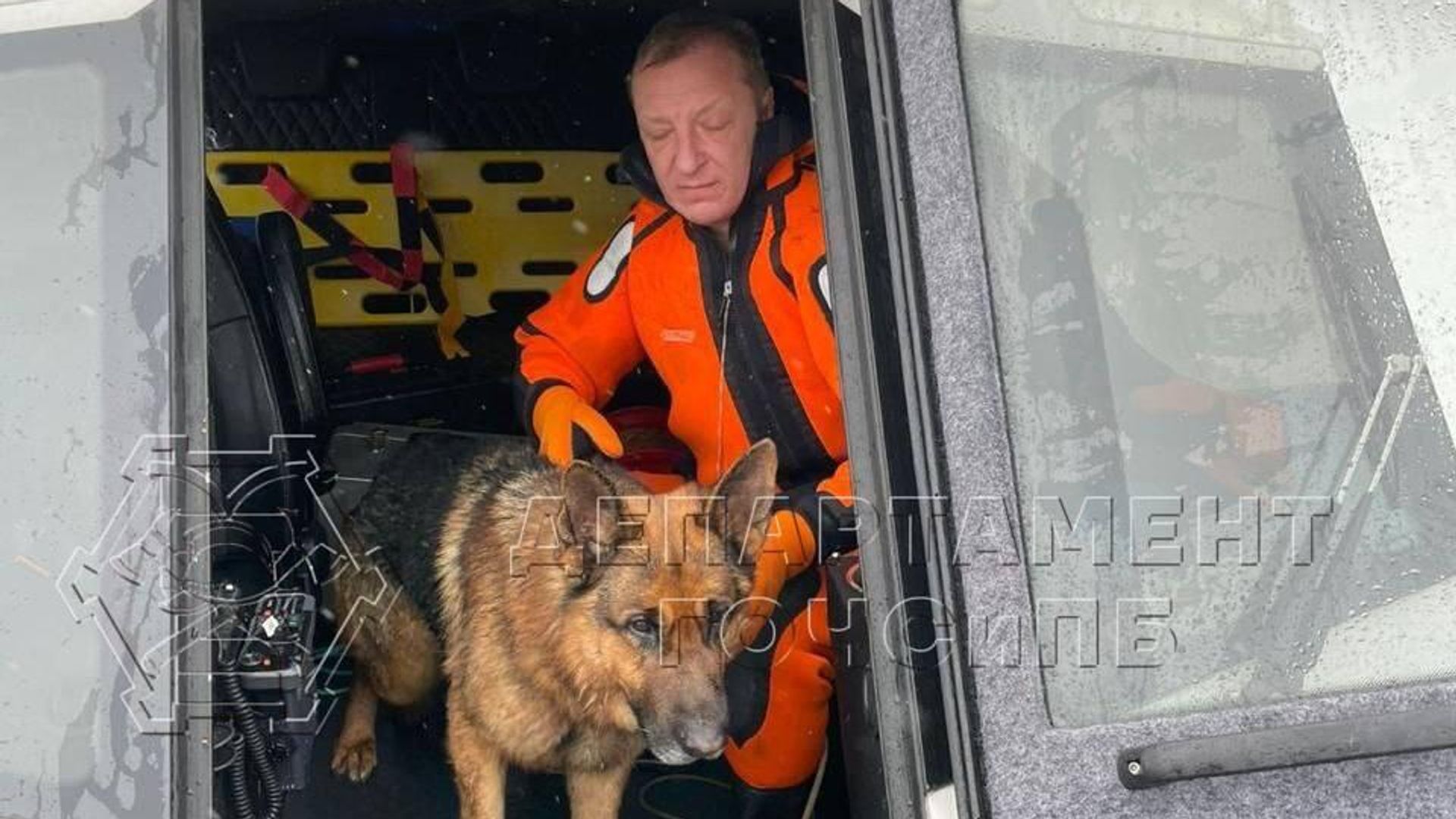 Спасатели вытащили собаку из Москвы-реки в районе посёлка Речник Спасатели вытащили собаку из Москвы-реки в районе посёлка Речник - РИА Новости, 1920, 16.01.2025