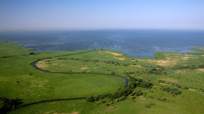 Берег Азовского моря