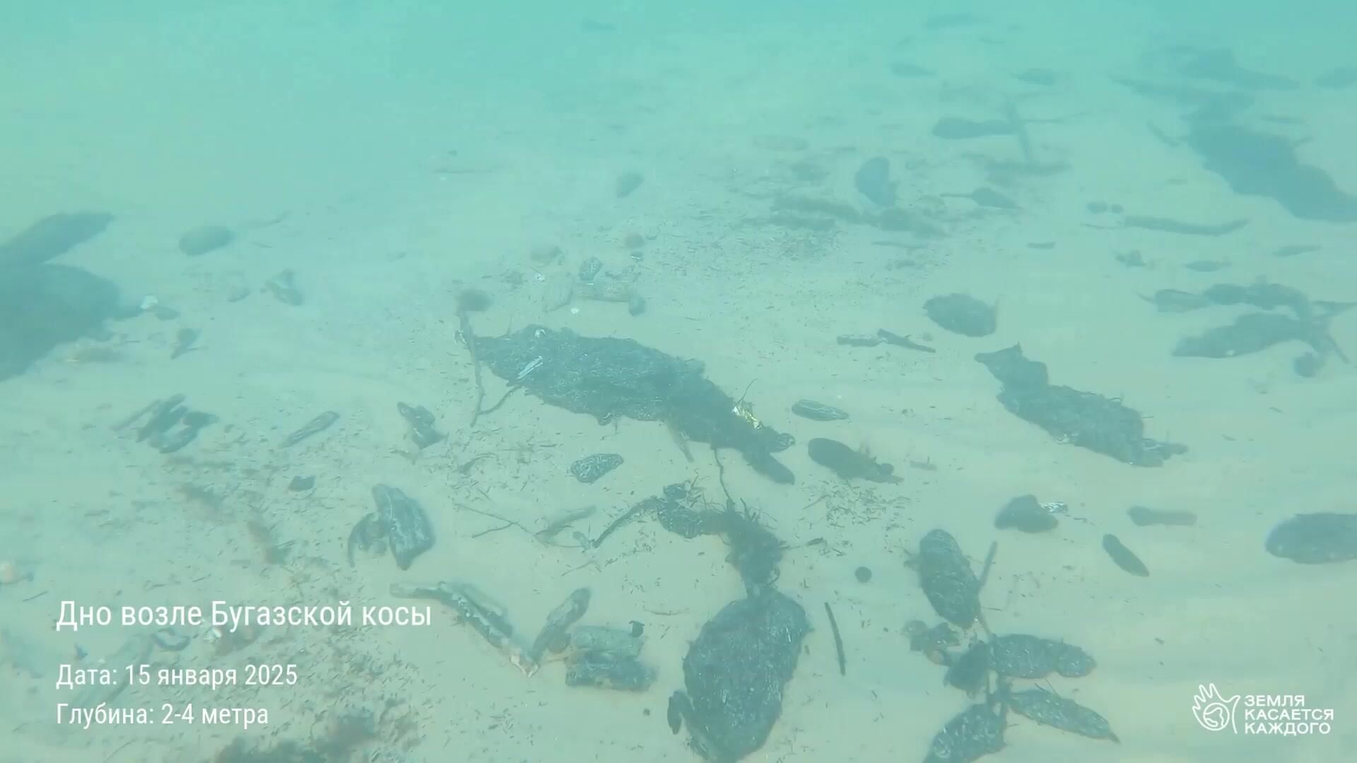 Кадры со дна Черного моря в районе Анапы, на которых видны фракции мазута Кадры со дна Черного моря в районе Анапы, на которых видны фракции мазута - РИА Новости, 1920, 17.01.2025