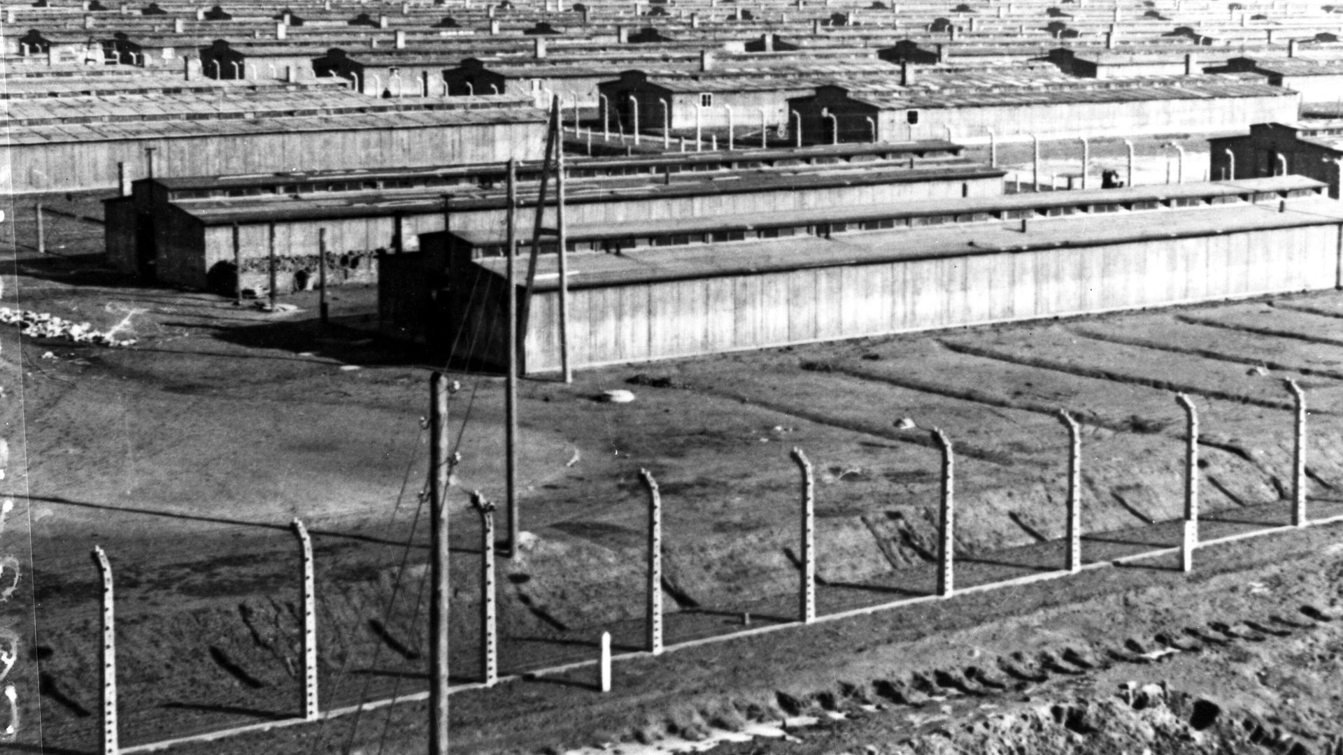 Бараки концлагеря Освенцим Бараки концлагеря Освенцим - РИА Новости, 1920, 09.05.2026
