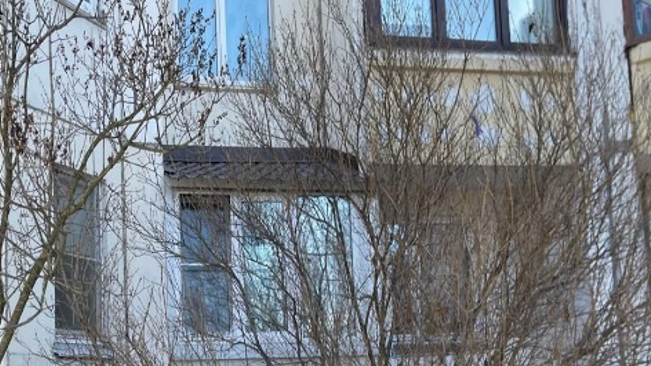 Самовольно возведенный балкон в московском Южном Бутове Самовольно возведенный балкон в московском Южном Бутове - РИА Новости, 1920, 28.01.2025