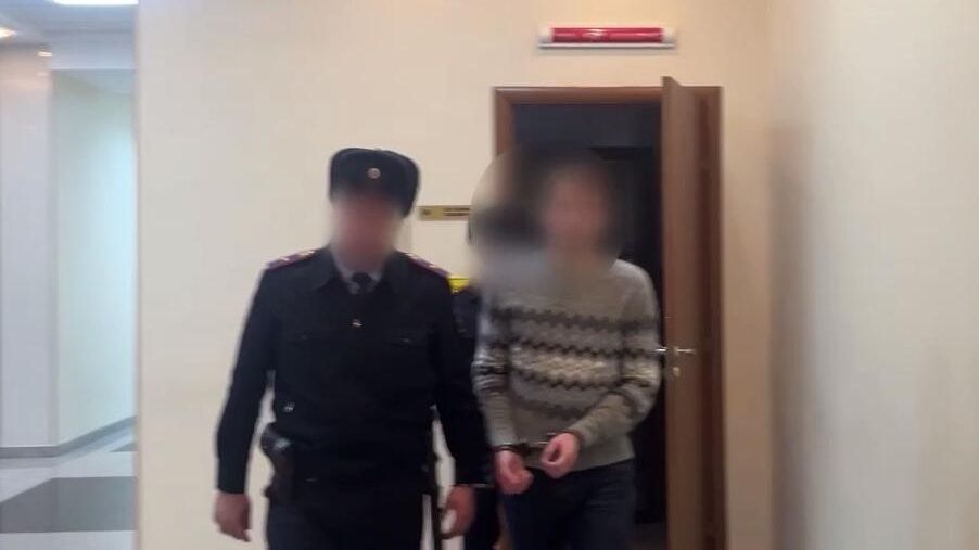 Житель Московской области осужден на 12 лет колонии строгого режима за госизмену из-за сотрудничества с украинскими вооруженными формированиями - РИА Новости, 1920, 28.01.2025