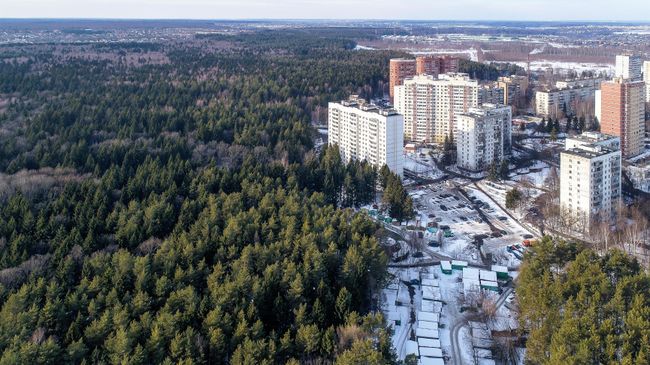 Виды Новой Москвы