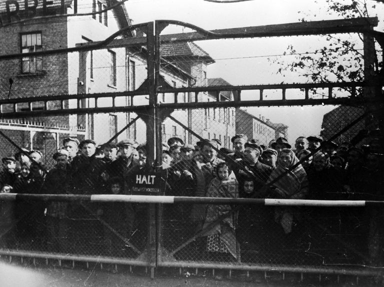 Узники лагеря смерти в первые часы после его освобождения от немецко-фашистских палачей Узники лагеря смерти в первые часы после его освобождения от немецко-фашистских палачей