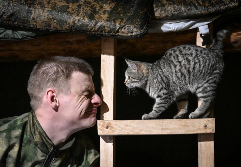 Военнослужащий штурмового подразделения ЦВО во время новогодней ночи на Красноармейском направление СВО Военнослужащий штурмового подразделения ЦВО во время новогодней ночи на Красноармейском направление СВО