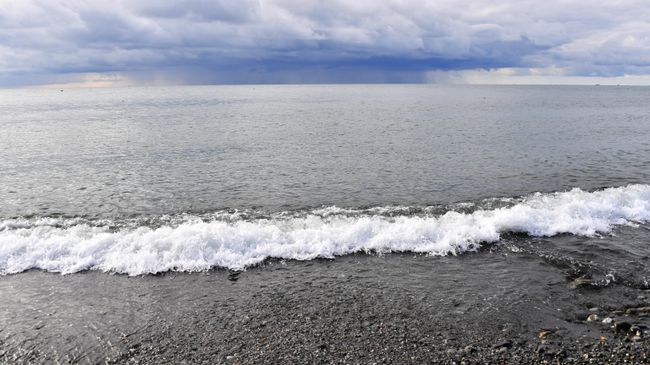 Берег Черного моря Берег Черного моря