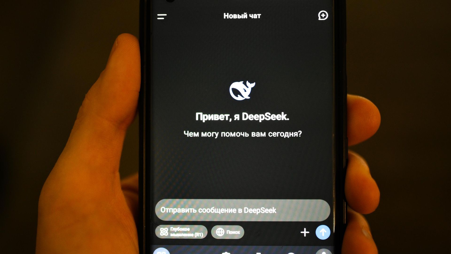 Приложение DeepSeek Приложение DeepSeek - РИА Новости, 1920, 06.02.2025