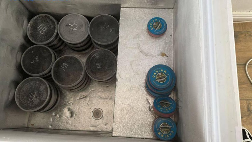 Правоохранители пресекли в Москве сбыт около 120 килограммов черной осетровой икры Правоохранители пресекли в Москве сбыт около 120 килограммов черной осетровой икры - РИА Новости, 1920, 09.02.2025