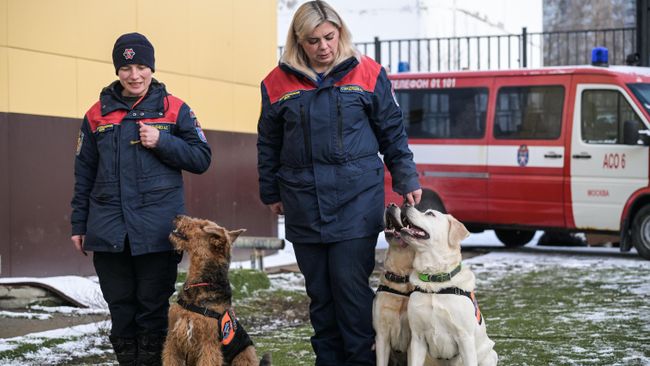 Тренировка собак-спасателей в пожарно-спасательном центре Тренировка собак-спасателей в пожарно-спасательном центре