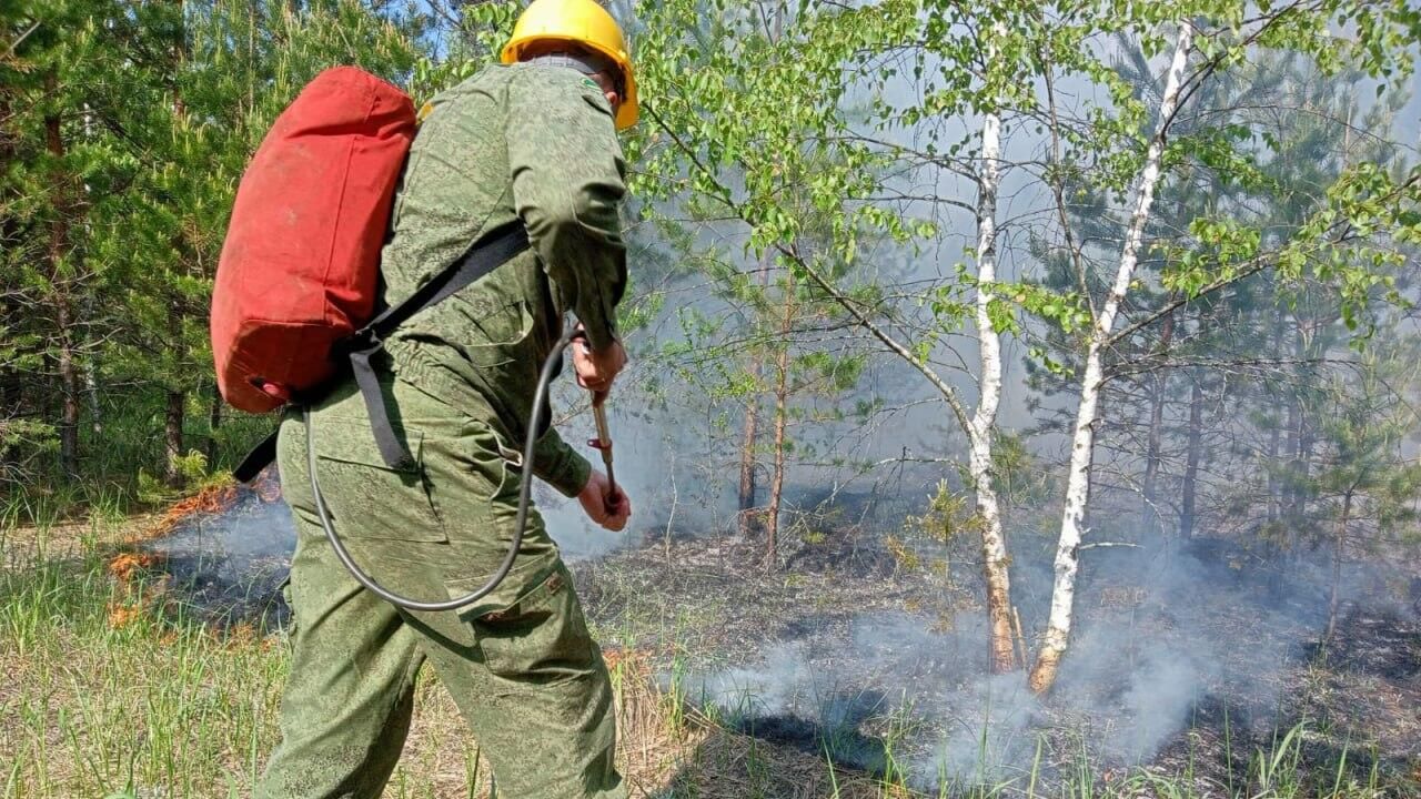 Набор сезонных лесных пожарных начался в Подмосковье Набор сезонных лесных пожарных начался в Подмосковье - РИА Новости, 1920, 19.02.2025