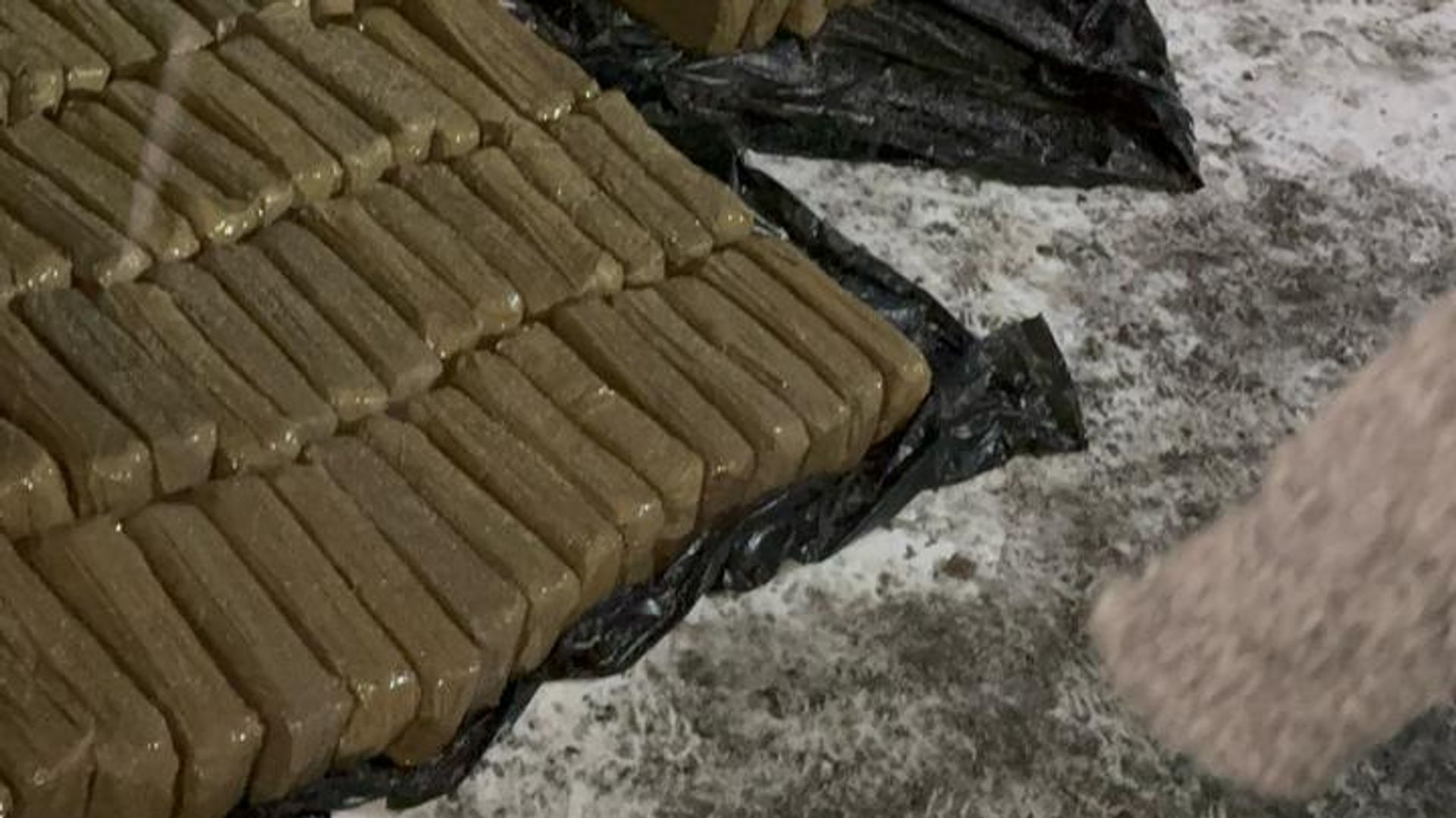 Таможенники задержали гражданина Белоруссии, который пытался провезти в Россию 140 килограммов гашиша Таможенники задержали гражданина Белоруссии, который пытался провезти в Россию 140 килограммов гашиша - РИА Новости, 1920, 20.02.2025