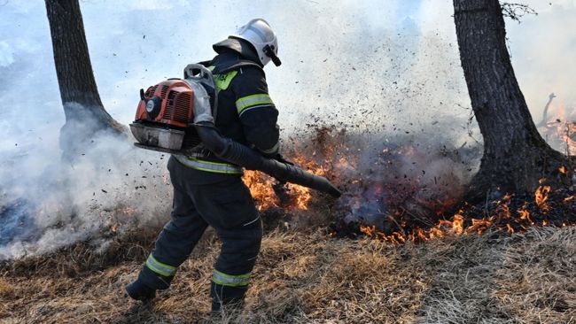 Тушение природного пожара