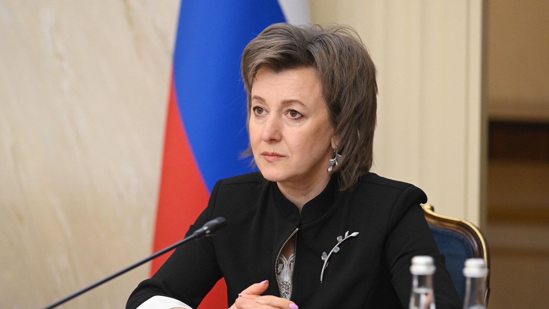 Генеральный директор Российского экспортного центра Вероника Никишина Генеральный директор Российского экспортного центра Вероника Никишина - РИА Новости, 1920, 11.03.2025