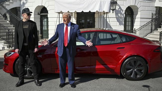 Дональд Трамп и Илон Маск