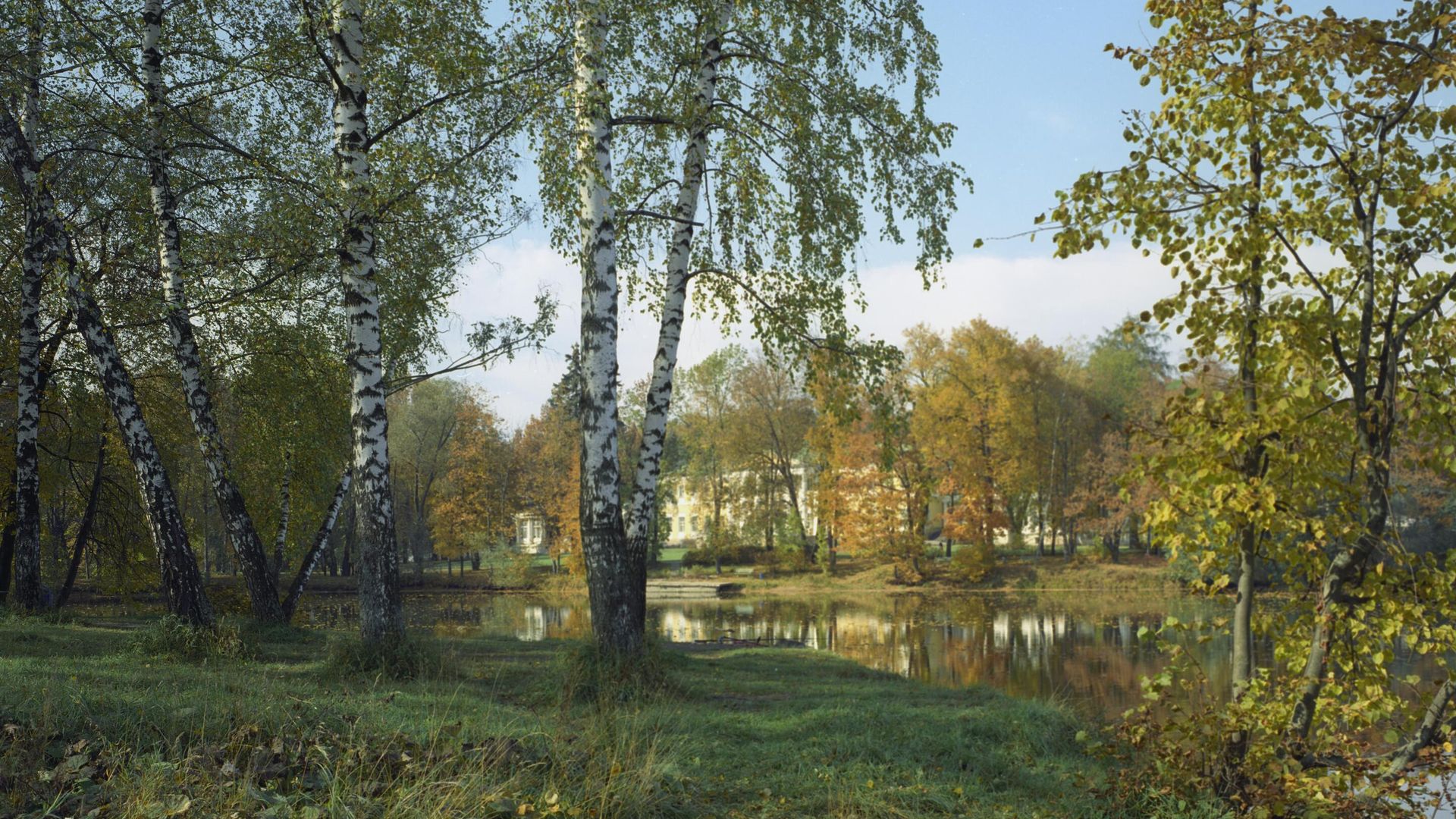 Березы - РИА Новости, 1920, 20.09.2026