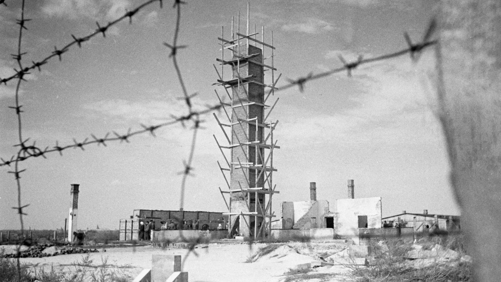 Территория нацистского концентрационного лагеря Майданек после освобождения бойцами 1-ого Белорусского фронта Красной армии Территория нацистского концентрационного лагеря Майданек после освобождения бойцами 1-ого Белорусского фронта Красной армии - РИА Новости, 1920, 27.01.2026