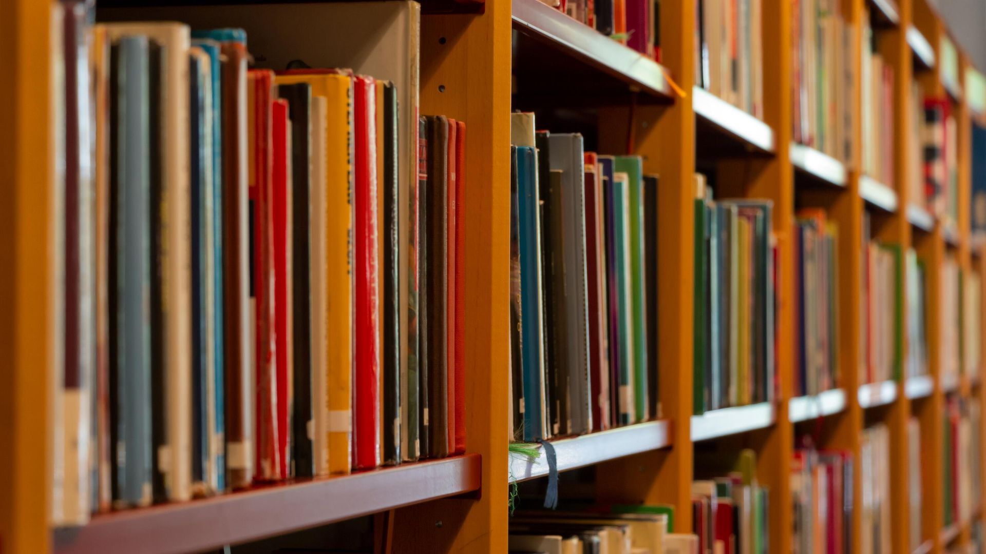 Полка с книгами в библиотеке Полка с книгами в библиотеке - РИА Новости, 1920, 21.03.2025
